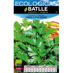 PEREJIL COMUN 2 (HOJA GRANDE) ECO