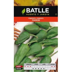 PIMIENTO DE PADRON ECO