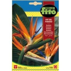 STRELITZIA AVE DEL PARAISO