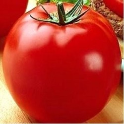 Comprar Tomate Optima (Valenciano) 🍅 | El Huerto Deitana ®