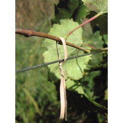 Stofix alambre animado 15 cm
