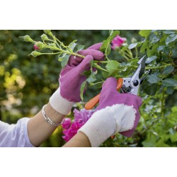 7/XS Rose Gloves