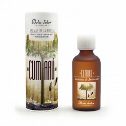 BRUMAS DE AMBIENTE  BE  50 ml ICEBERG