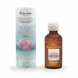 BRUMAS DE AMBIENTE  BE  50 ml ICEBERG