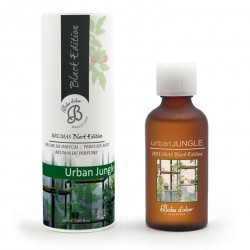 BRUMAS DE AMBIENTE  BE  50 ml ICEBERG