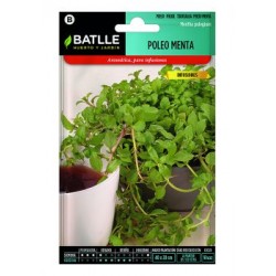 S-POLEO-MENTA