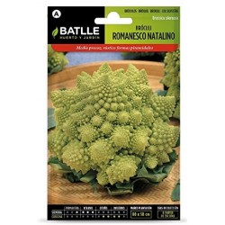 S-BROCOLI ROMANESCU NATALINO