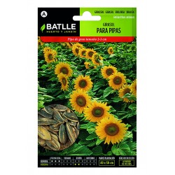 S-SUNFLOWER FOR PIPES