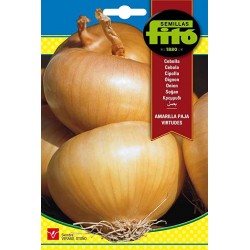 YELLOW S-ONION