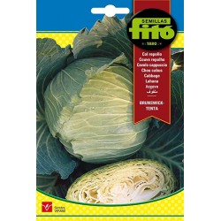 S-COL CABBAGE BRUNSWICK