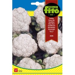 S-CAULIFLOWER ALBA
