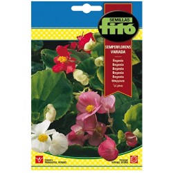 Begonia Semperflorens (Semillas) | El Huerto Deitana ®