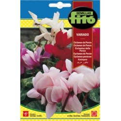 Ciclamen de Persia variado (Semillas) | El Huerto Deitana ®