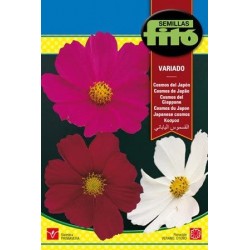 Cosmos del Japón variado (Semillas) | El Huerto Deitana ®
