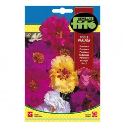 VARIED DOUBLE S-PORTULACA