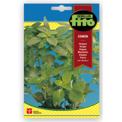 COMMON S-OREGANO