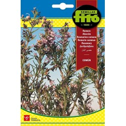 COMMON S-ROSEMARY