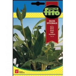 S-SALVIA OFFICINALIS