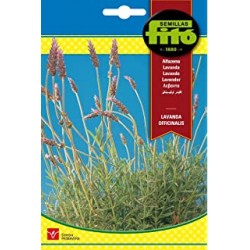 Lavanda Officinalis (Semillas) | El Huerto Deitana ®