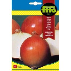 VALENCIAN S-ONION