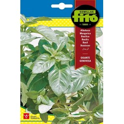 Albahaca gigante genovesa (Semillas) | El Huerto Deitana ®