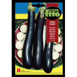 S-BLACK LONG EGGPLANT