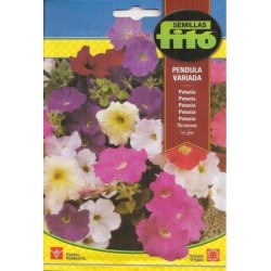 S-PETUNIA PENDULA VARIED