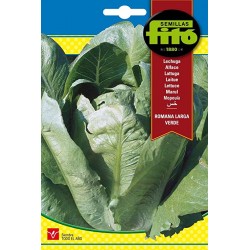 S-ROMAN LETTUCE TERESA