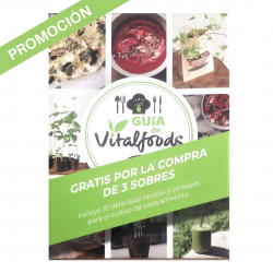 Kale Westlandse (Semillas) | El Huerto Deitana ®