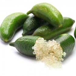 CAVIAR CITRICO (MICROCITRUS AUSTRALASICA)