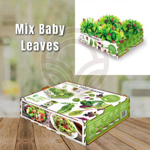 Huerto Premium Baby Leaves Batlle | El Huerto Deitana ®