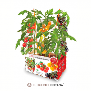Huerto Premium Tomates Cherry Batlle | El Huerto Deitana ®
