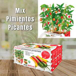 Huerto Premium Pimientos Picantes Batlle | El Huerto Deitana ®