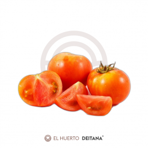 Comprar Tomate Optima (Valenciano) 🍅 | El Huerto Deitana ®