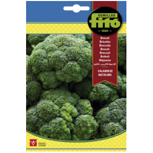 BROCOLI (SEMILLAS)