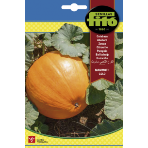 Calabaza de Halloween | El Huerto Deitana ®