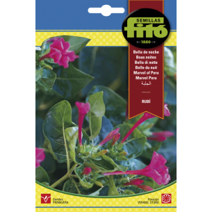 BELLA DE NOCHE RUBI (SEMILLAS)