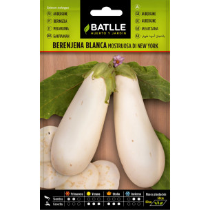 BERENJENA BLANCA (SEMILLAS)