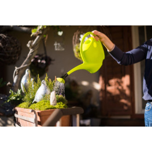 Regadera verde 2,5 L | El Huerto Deitana ®