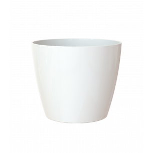 San remo 6cm blanco maceta | El Huerto Deitana ®