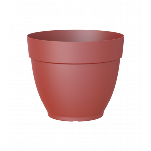 Capri campana 25 cm maceta | El Huerto Deitana ®