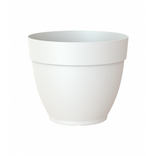 Capri campana 50cm maceta | El Huerto Deitana ®