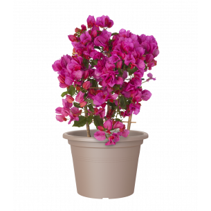 VENEZIA CILINDRO 20CM TOPO MACETA