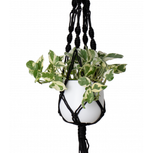 Macrame simple | El Huerto Deitana ®