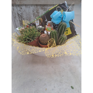 CENTRO CON CACTUS VARIADOS SUSTRATO Y FERTILIZANTE