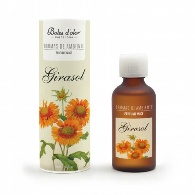 BRUMAS DE AMBIENTE  BE  50 ml ICEBERG