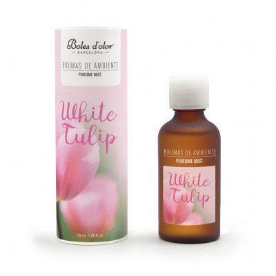 BRUMAS DE AMBIENTE  BE  50 ml ICEBERG