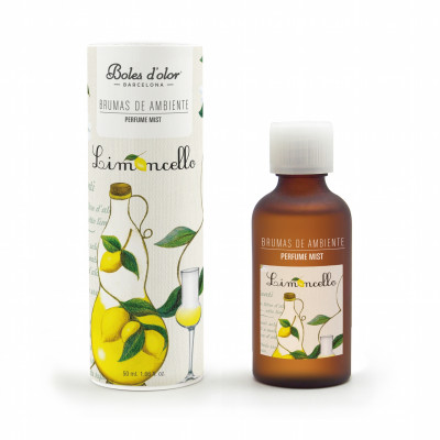 BRUMAS DE AMBIENTE  BE  50 ml ICEBERG