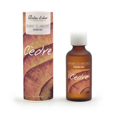 BE 50 ml ICEBERG AMBIENT BRUMAS