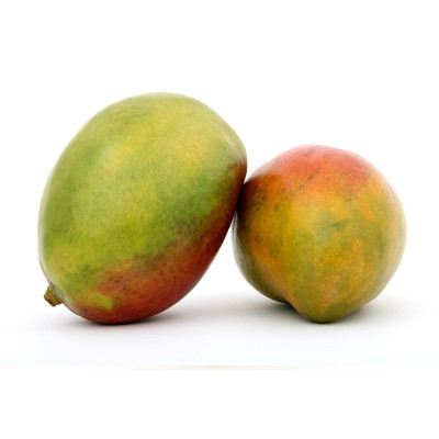 Mango osteen| El Huerto Deitana ®